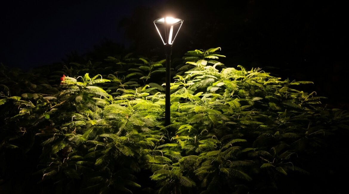 Landscape Lighting