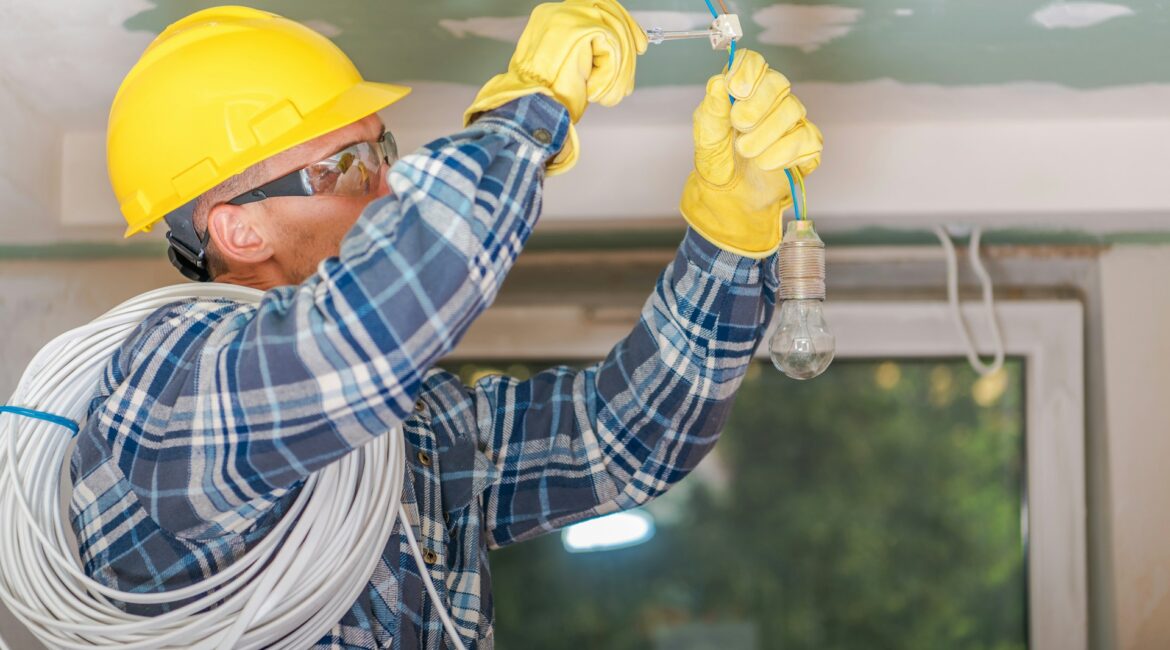 Professional Electrician